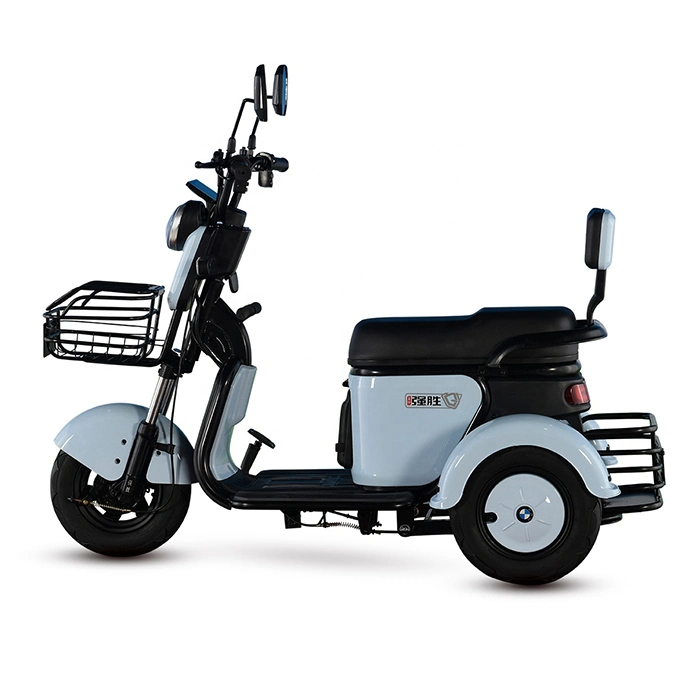 25km/H Motorized Tricycles for Adults Three Wheel Motor Bike
