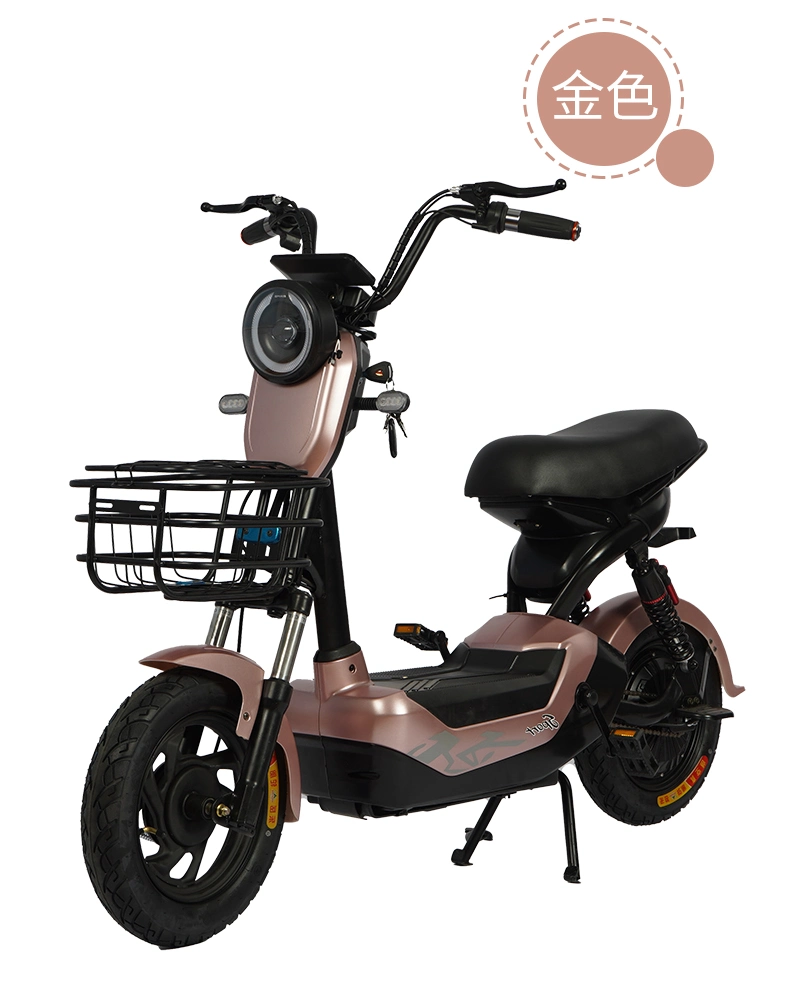500watts Brushless Motor Electric Kick Scooter Electric Bicycle