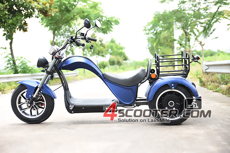 EEC Adult 3 Three Wheel Adult E Electric Trike Scooter Motorcycle