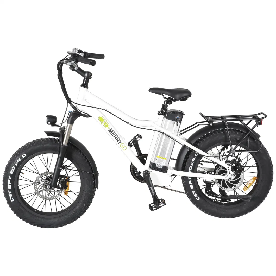 Ladies Electric Bicycle with Lithium Battery Power Bike Dropship in European