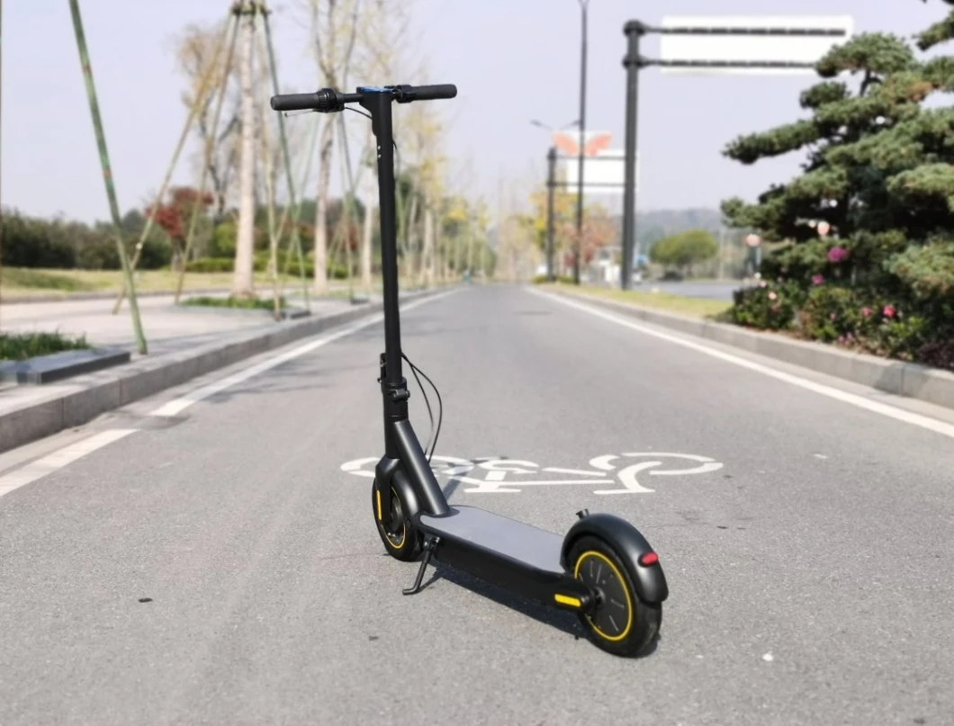 Wellsmove 500W Electric Scooter Manufacturers Sharing Electric Bike Scooter