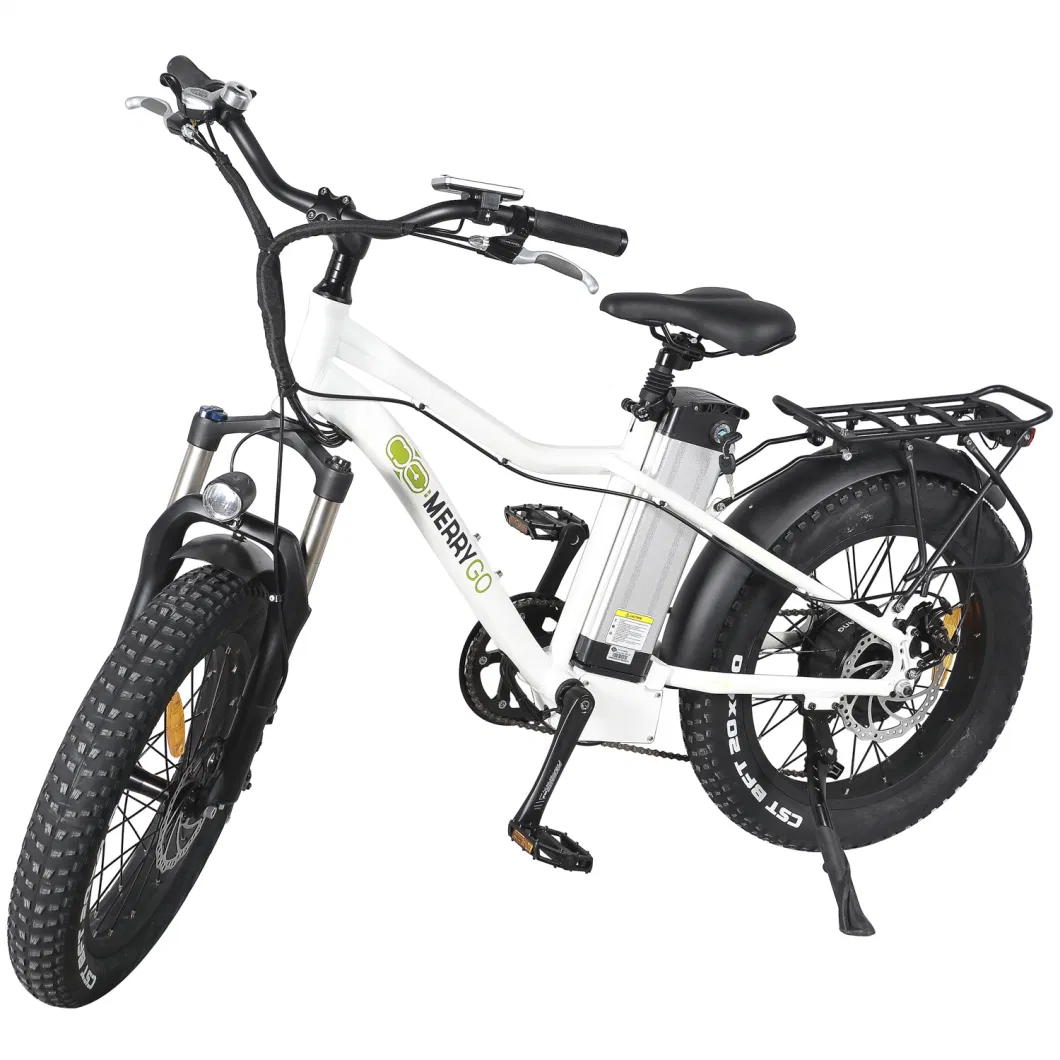 Ladies Electric Bicycle with Lithium Battery Power Bike Dropship in European