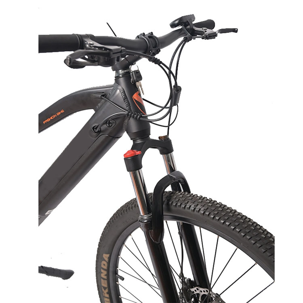2023 Best Selling Chinese New Electric Mountain Bicycle 29 Inch with Electric Bike 350W