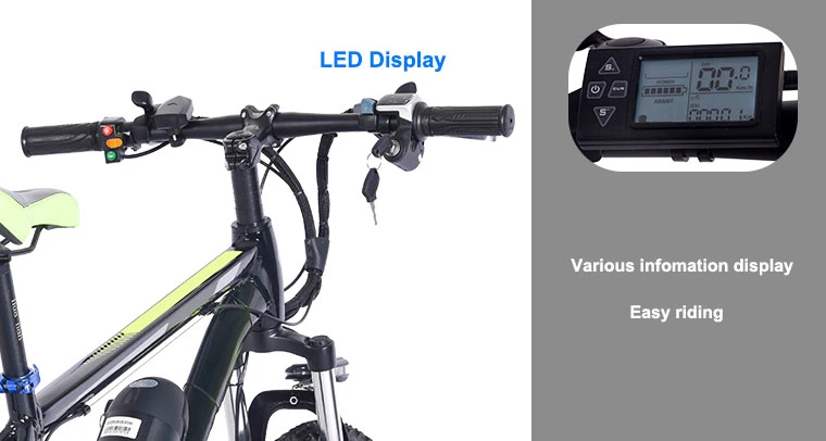 Folded 250W Gravity Road Bicycles Bikes Electrical Adult Bike Electric Bicycle Factory