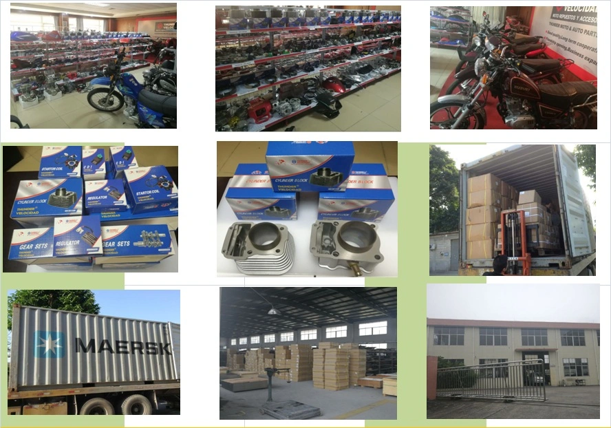 Motorcycle Accessories/Engine/Body/Electric/Brake/Transmission Parts for Motorcycles