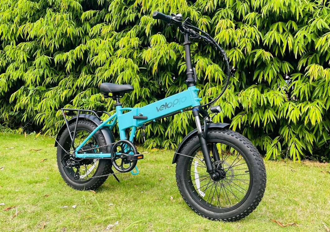 Affordable Folding Bike 20 Inch Portable Electric Bicycle for Adult