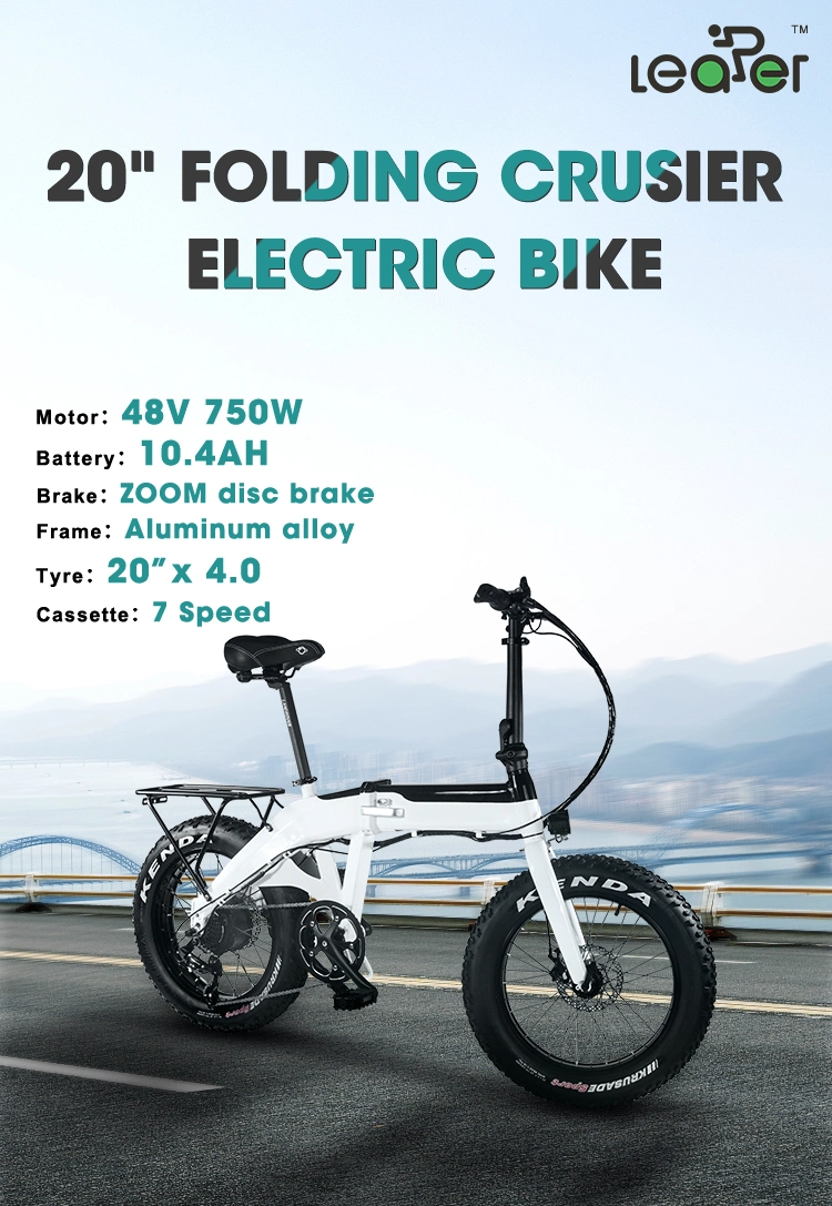 20inch Electric Mountain Bike 750W Snow Electric Bicylce for Men Women