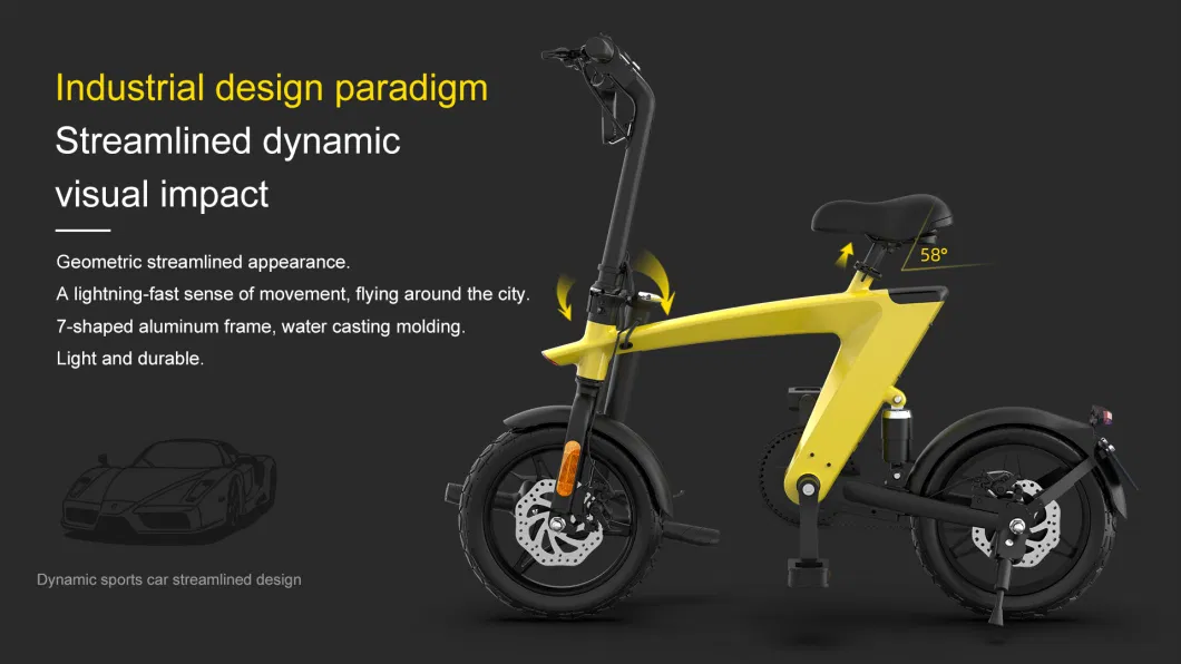 off Road Lightweight Folding Electric Bike with Replaceable Lithium Battery