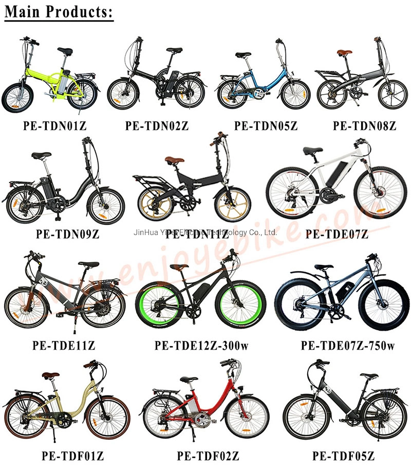 Made in China Urban Bicycle Smart PAS System E-Bike Electric Bike (TDF05Z)