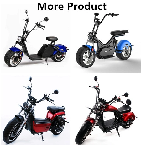2023 Portable Electric Kick Motorbike with 2000W Brushless Motor