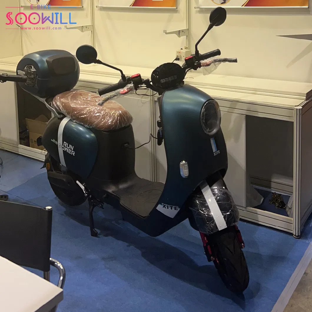 2000W Electric Scooter Conventional E-Bike with Ternary Lithium Battery Gecko Scooty