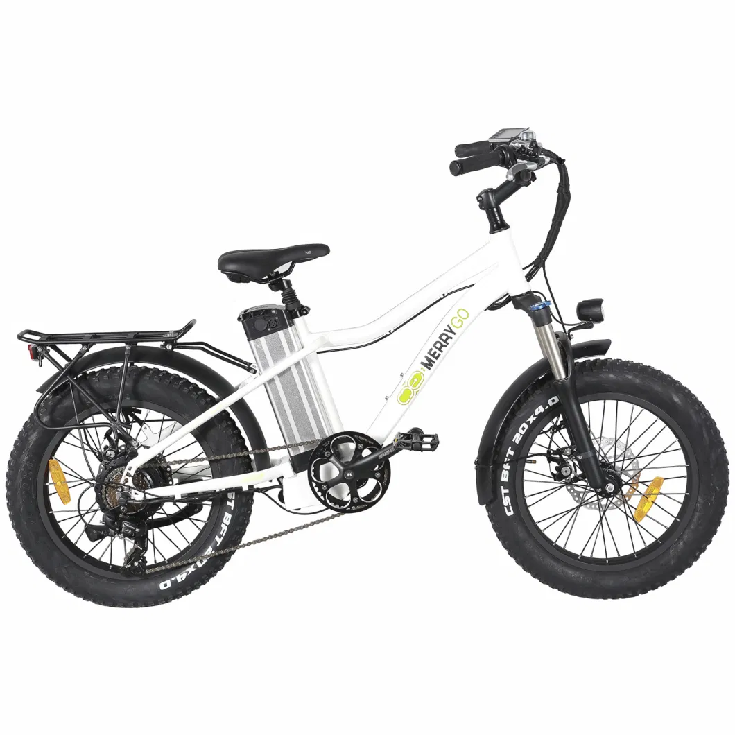 Ladies Electric Bicycle with Lithium Battery Power Bike Dropship in European