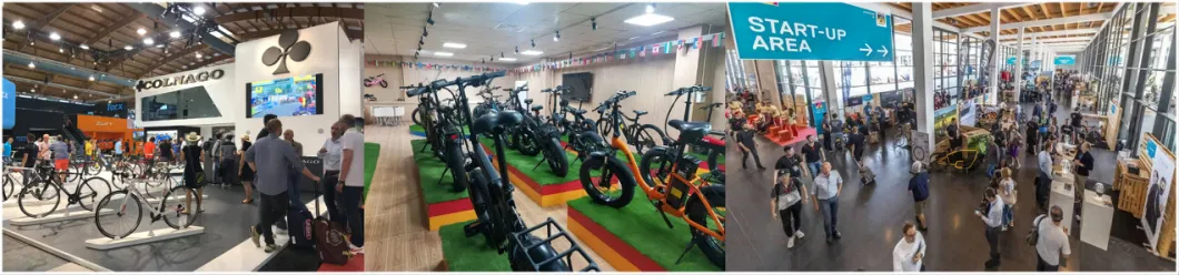 OEM Direct High Quality Buy Directly Factory Road E Cycle 1000W Electric Bike Bicicleta Electrica Elektrikli Bisiklet