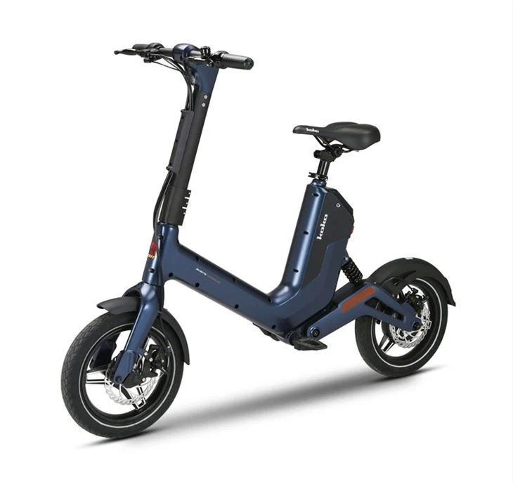 Electric Unfolding Bicycle with 350W Motor