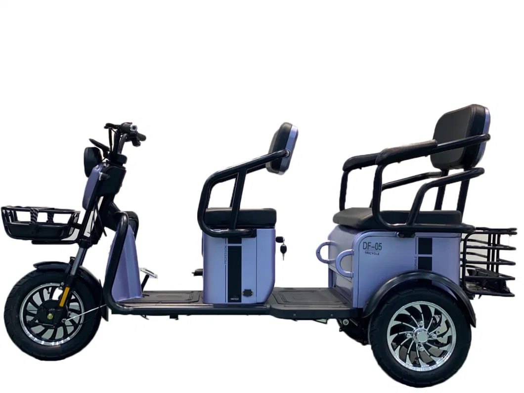 Tricycle Electric Three Wheel Motorcycle E-Bike Scooter Mini Mobility Trike