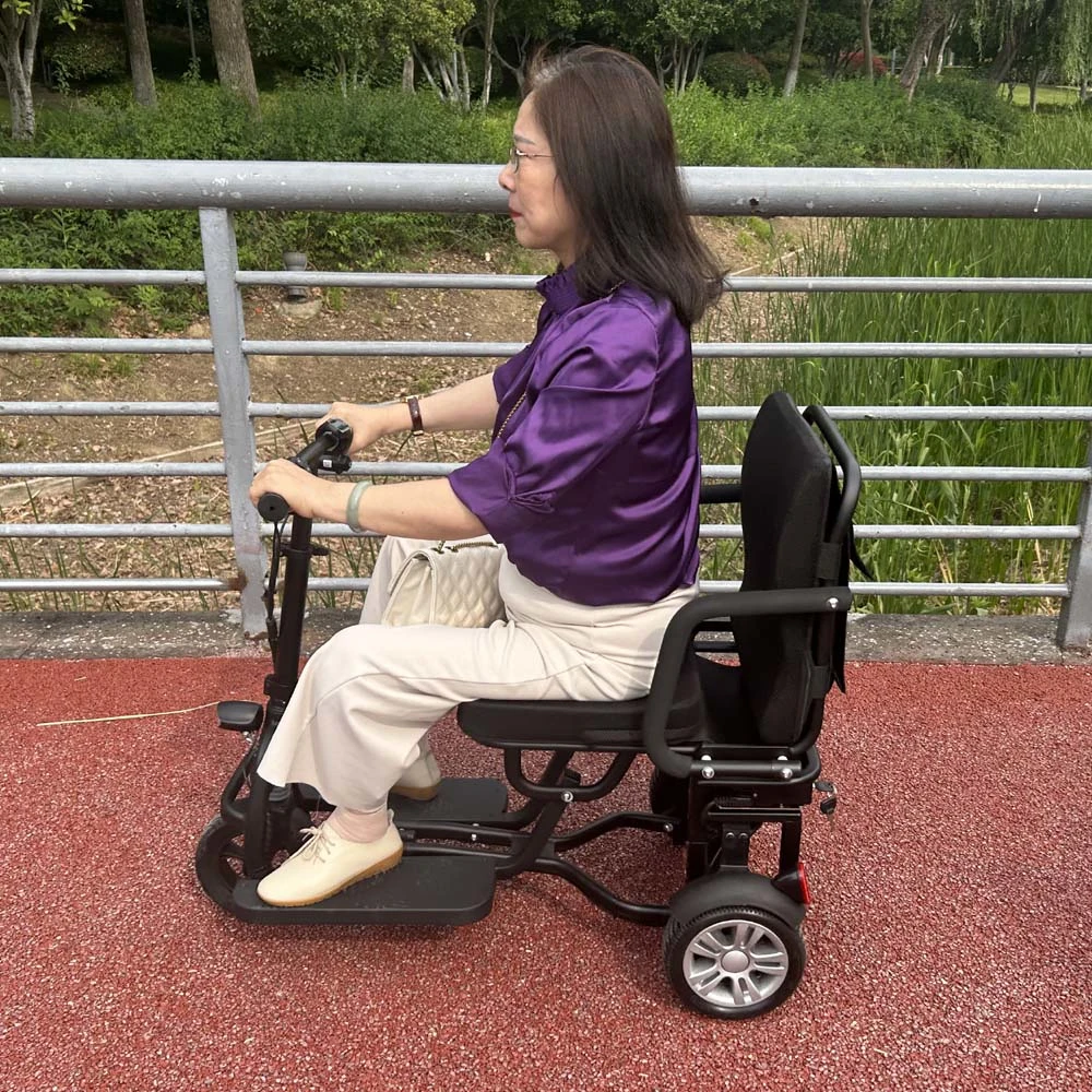 Adult 3 Wheel Mobility Foldable Scooter for Seniors with CE