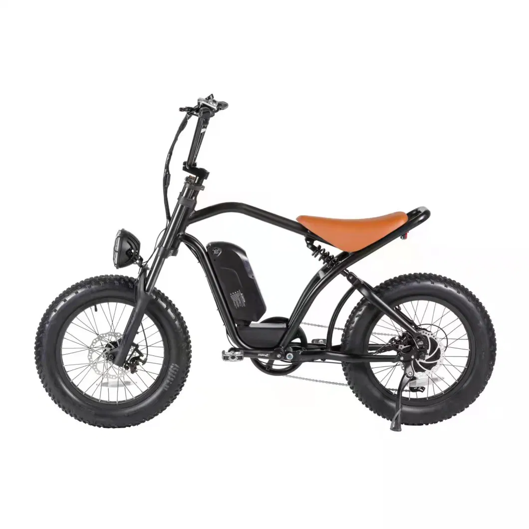 48V Electric Bicycle Ebike 500W Electric Motorcycles for Adults