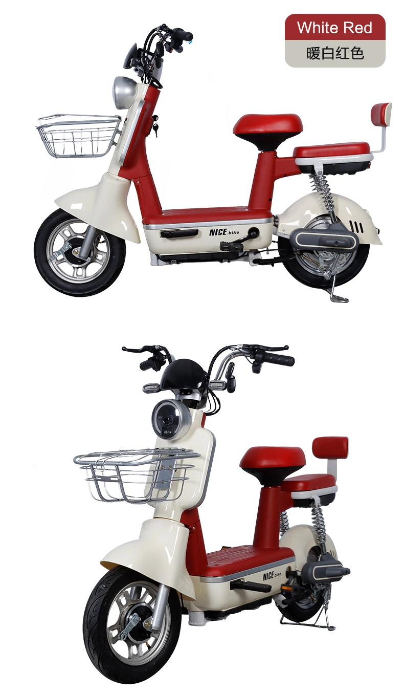 48V20ah Electric Scooter Electric Bicycle Electric Moped