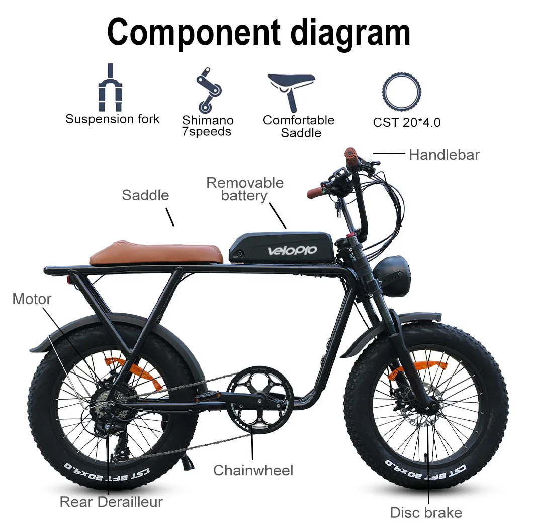 2023 Vintage Style Fat Bike Electric Bike Electric Motorbike