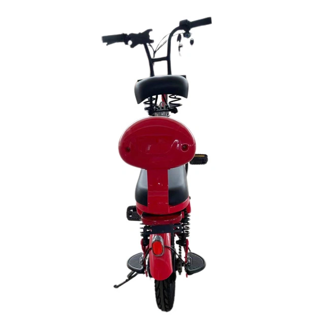 Fb03 New Arrival Bicycle Detachable Battery Electric Bike