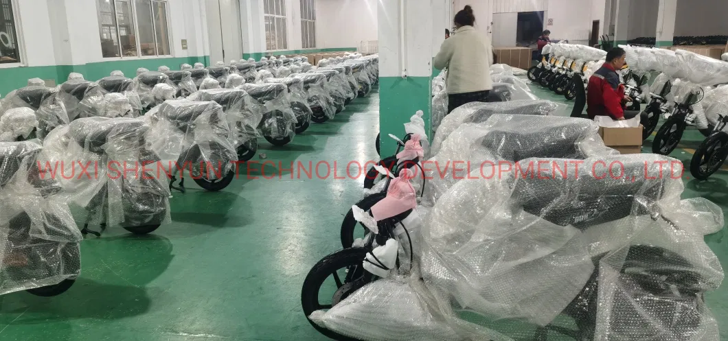 Wuxi Shenyun 350W 48V12ah Electric Scooter Electric Biks with Pedal Assistance