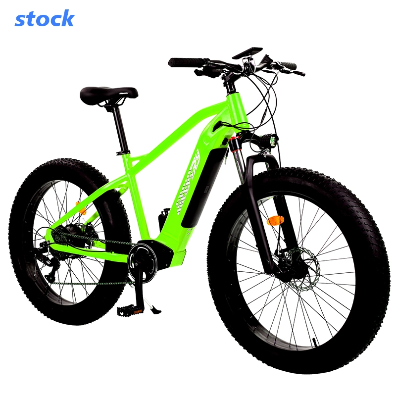 Easy-Try Custom Cheaper Bicycle 500W Electric Cycle Hidden Battery MTB Ebike