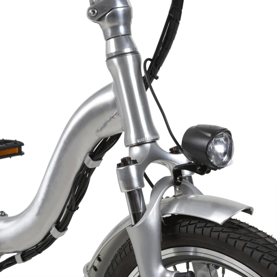 Customized Electric Bike 350W for Adults
