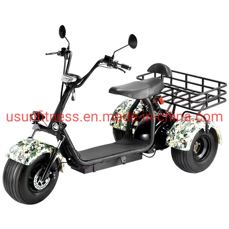 Farmer&prime; S Car Garden Cart Farmer&prime; S Tricycle Cargo Fat Tire Electric Scooter Motorcycle Bike Electric Tricycle Cargo Farmer&prime; S Car with CE