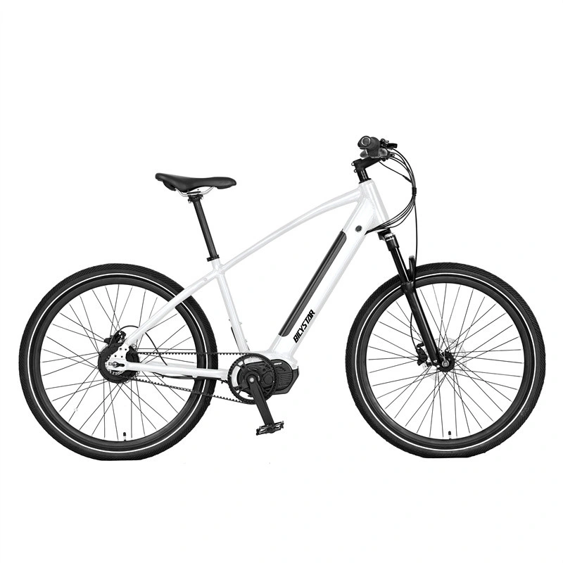 Electric Cycle/Electric Cycle for Adults/Electric Downhill Mountain Bike