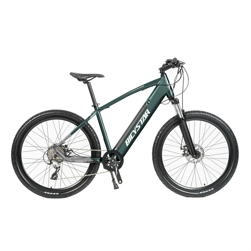 Electric Cycle/Electric Cycle for Adults/Electric Downhill Mountain Bike