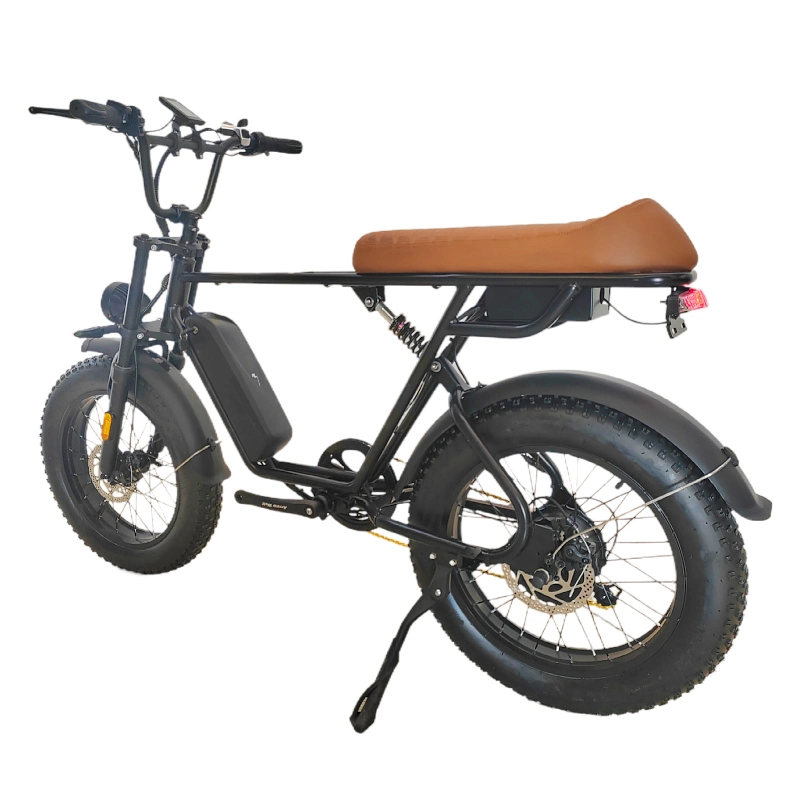 Popular New High-Quality 20 New Fat Tire Electric Bike