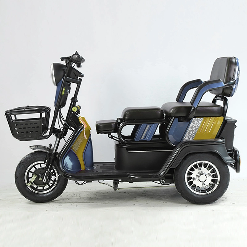 2021 EEC 3 Wheel Passenger Cargo Tricycle Two Seat Electric Scooter Bicycle 48V for Adults and Old People