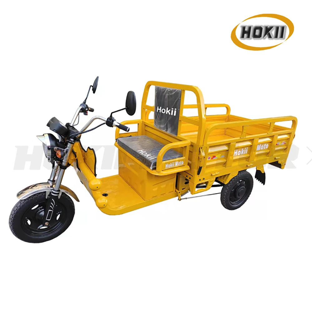 China Manufacturer Popular Model Triciclo Electrico 800W Motor Electric Cargo Tricycle Vehicles for Sale