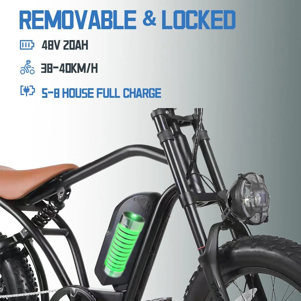 Professional Factory Electric Bicycle with Full Suspension
