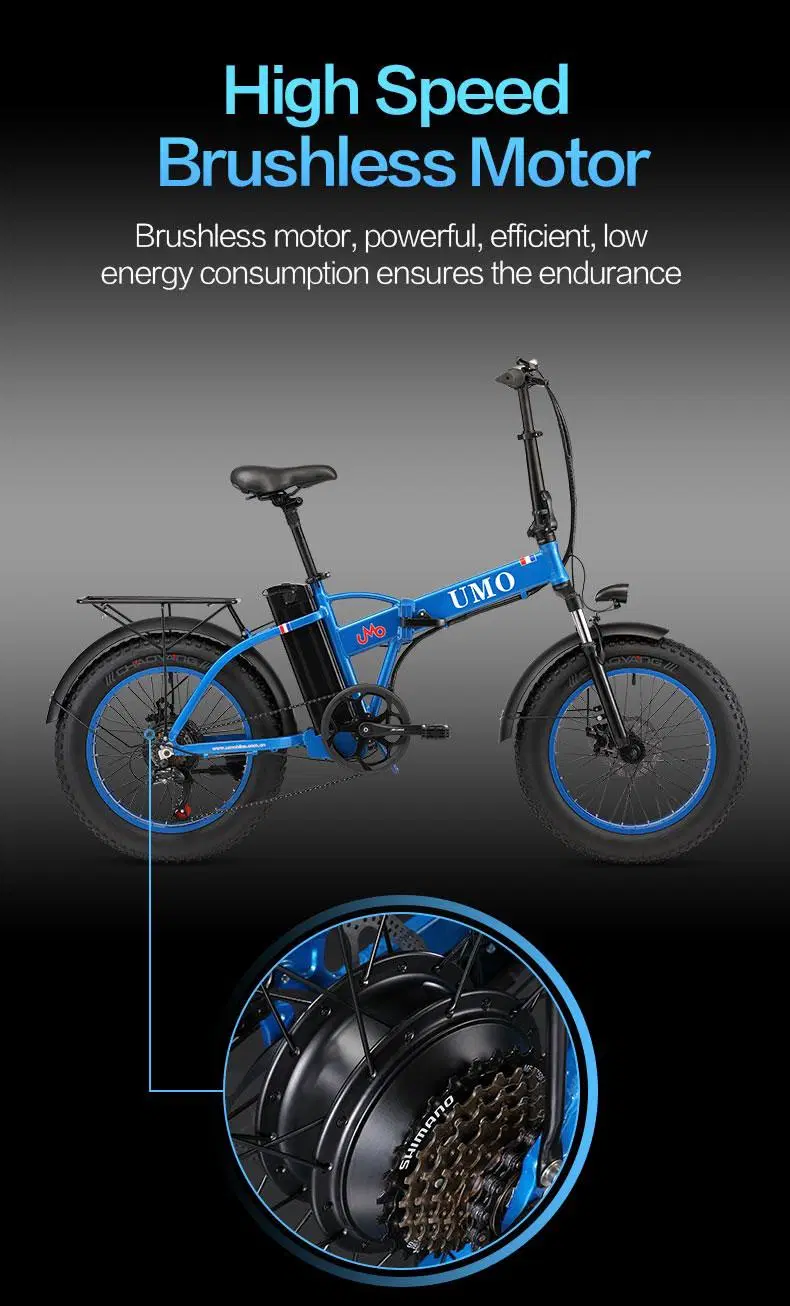 Manufacturer Lithium Battery Foldable Ebike Electric Bike for Adults