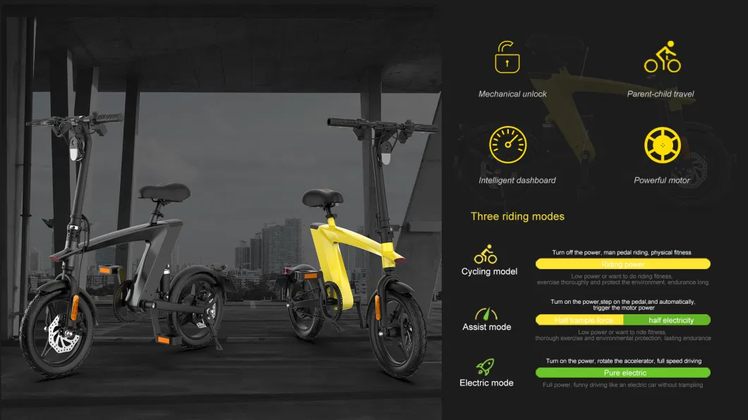 off Road Lightweight Folding Electric Bike with Replaceable Lithium Battery
