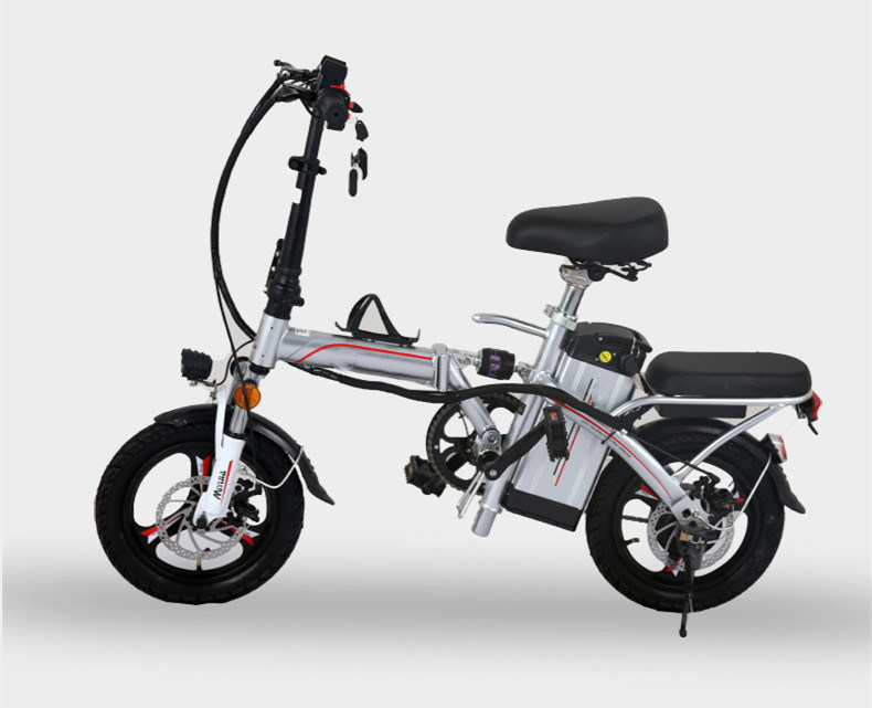 48V Folding Electric Bike Lithium Battery Electric Bike/Moped