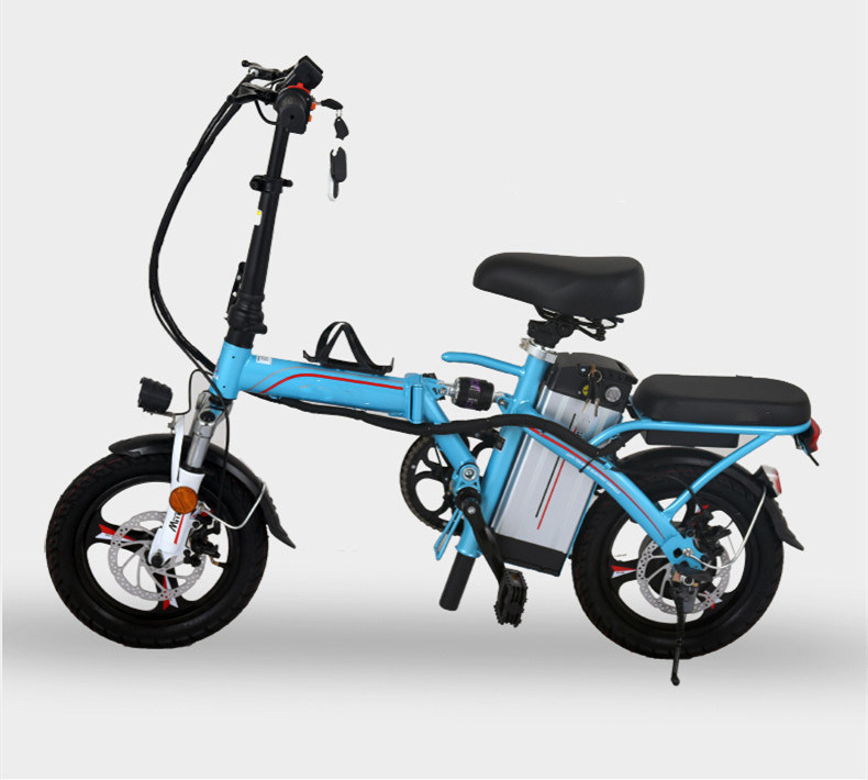 48V Folding Electric Bike Lithium Battery Electric Bike/Moped