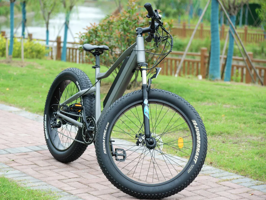 2023 Popular Hot Sale Electric Bike 48V 500W Fat Tire Electric Bicycle