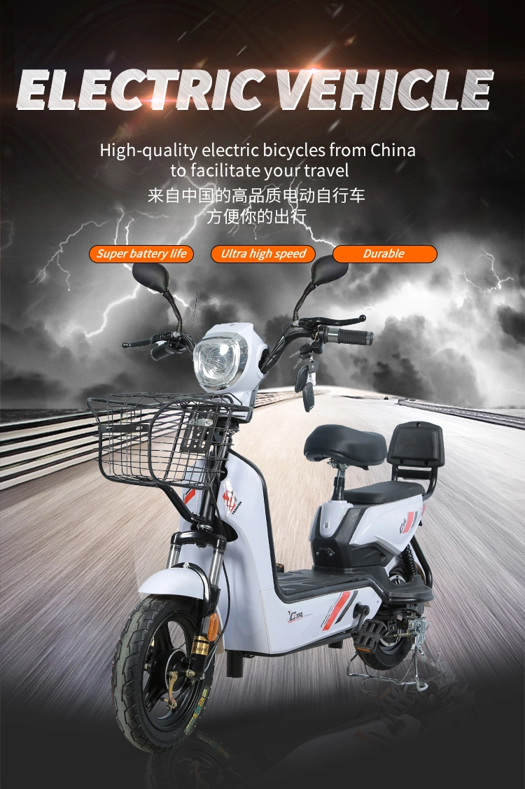 48V 350W Battery E Cycle Electric Bike Light with Bicycle for Sale