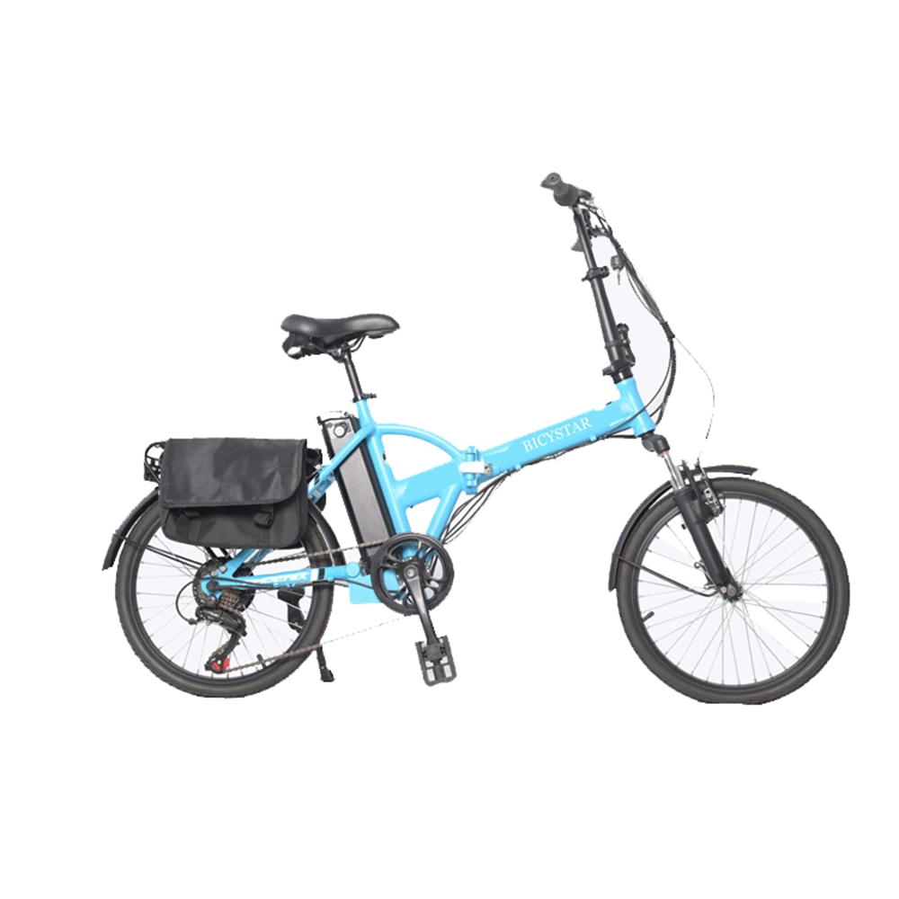 750W Folding E Bike/E Bike Folding/Cheapest Electric Bike