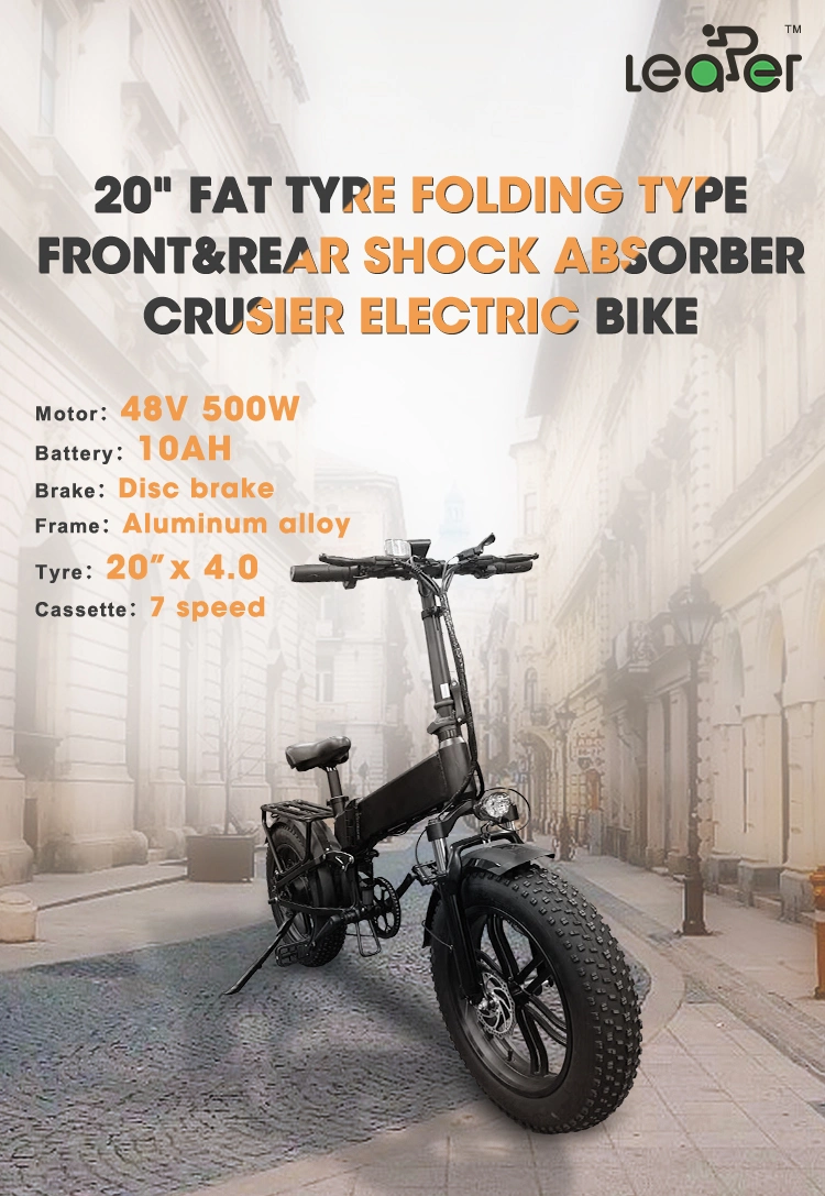 500W/750W Brushless Motor Ebike 25-30km Fat Tire Three Wheel Electric Bicycle