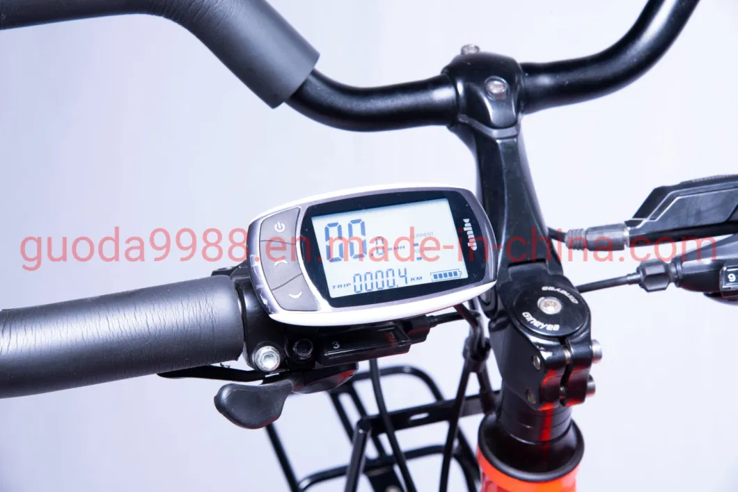 Butterfly Handlebar Electric City Bike 48V 250W Bicycle Ebike