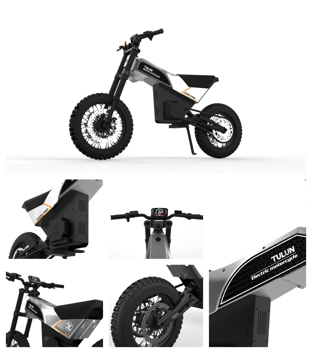 High Speed Children&prime; S Racing Non Welded Frame Transformable Electrical Motorcycle Electric Dirt Bike 1000W 48V20ah off-Road E Sport Bike for Kids