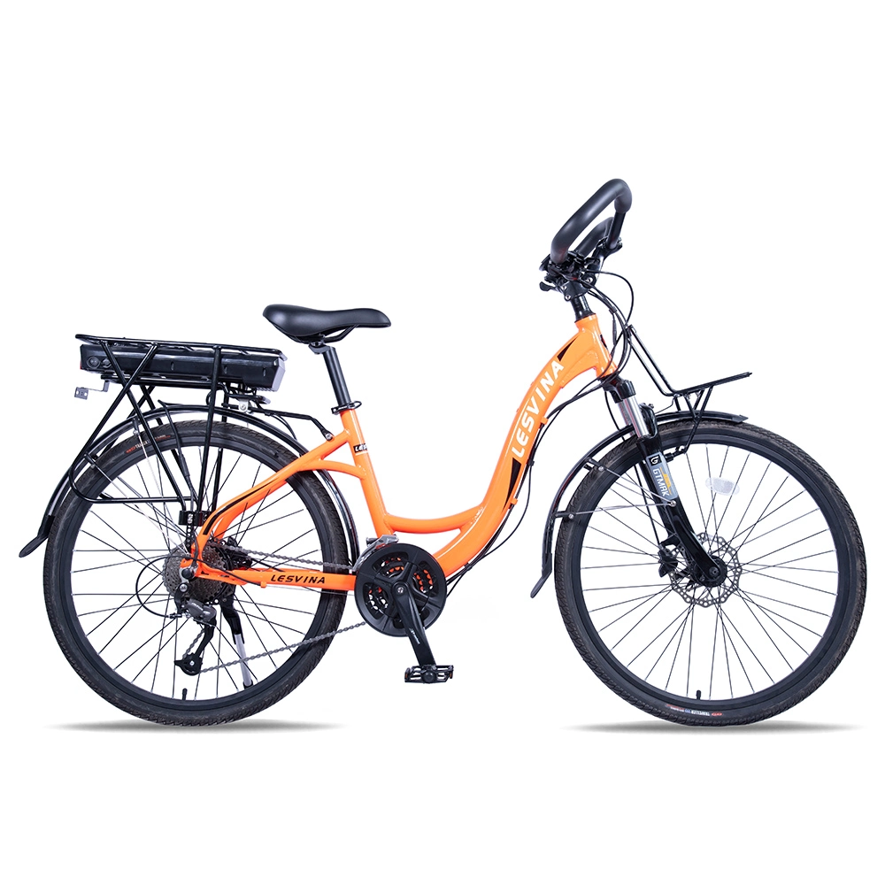 Butterfly Handlebar Electric City Bike 48V 250W Bicycle Ebike