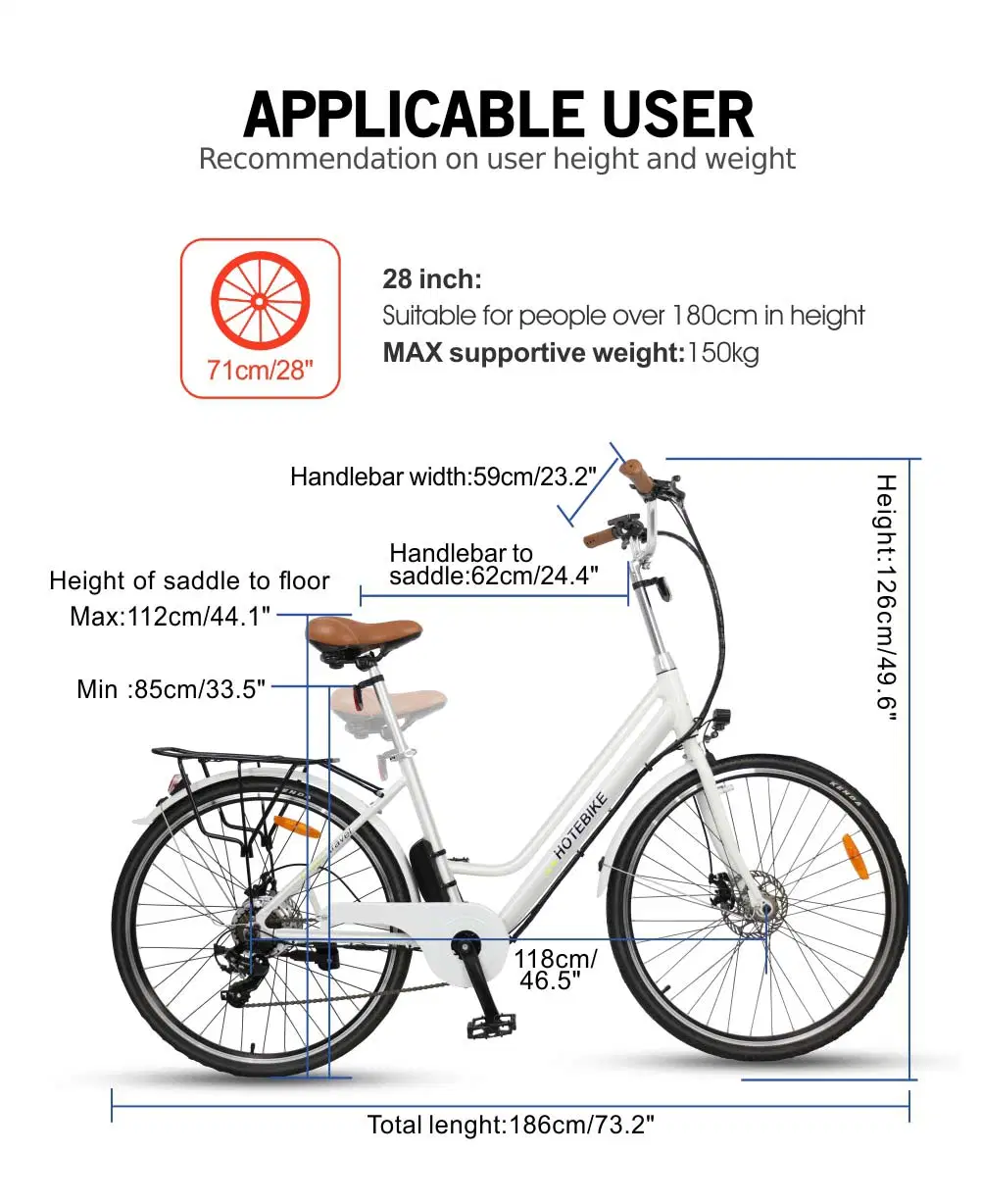 42V 2A Unfolded Shuagnye or Hotebike OEM Electric Cycle Bike