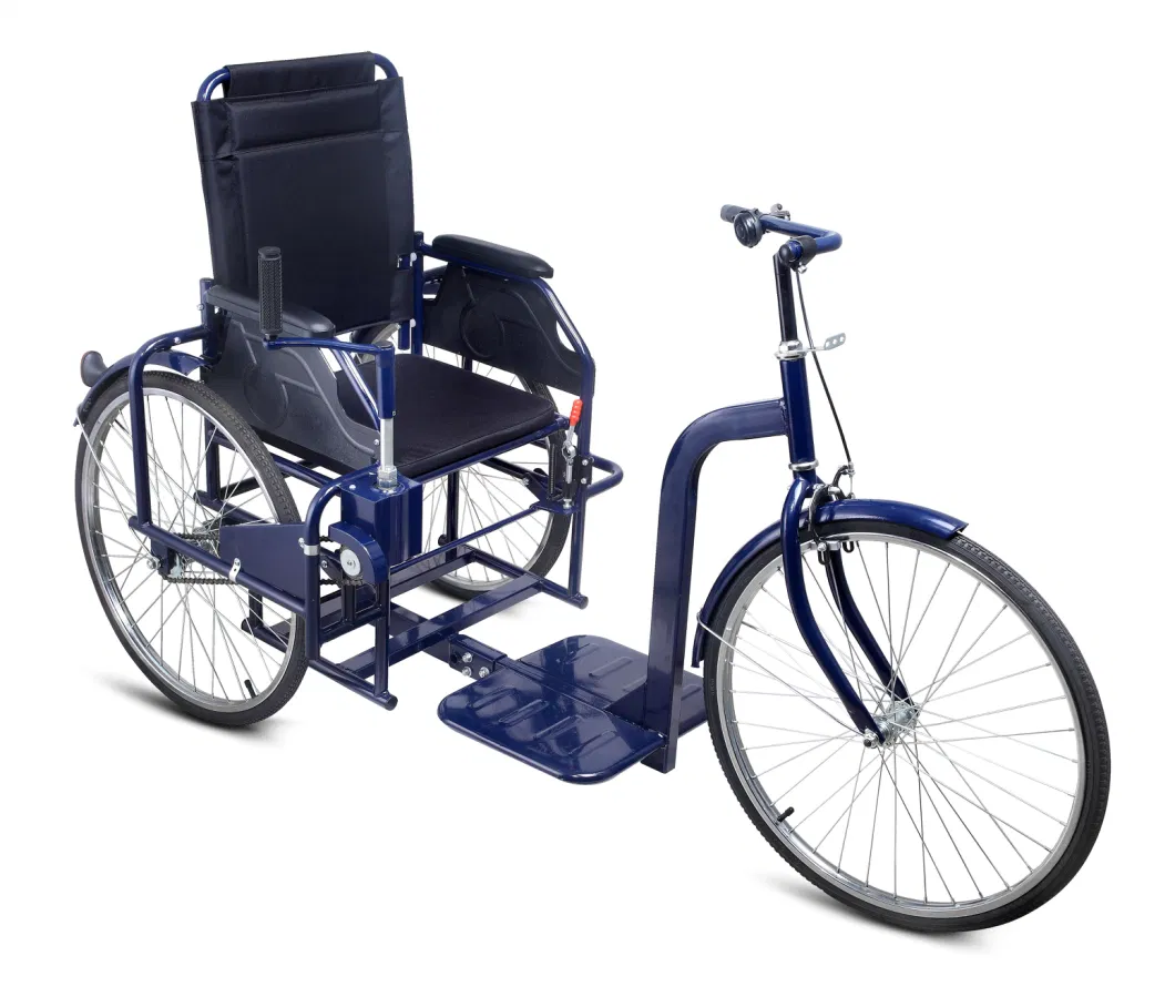 Three Wheeler Cycle Handicapped Trike Bike for Disabled