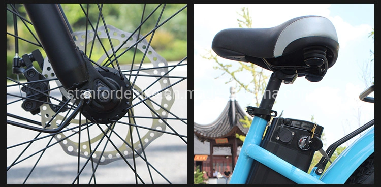 New Hot Selling Convenient Electric Bike for European Country