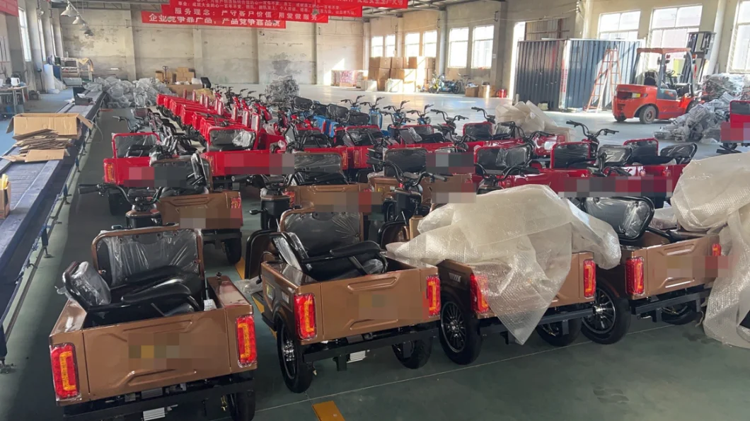 1000W Electric Tricycle for Passenger and Cargo Three Wheel Auto Rickshaw