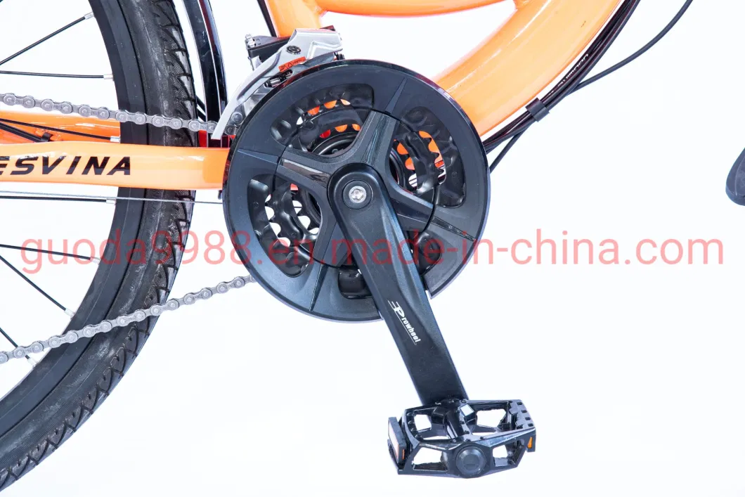 Butterfly Handlebar Electric City Bike 48V 250W Bicycle Ebike